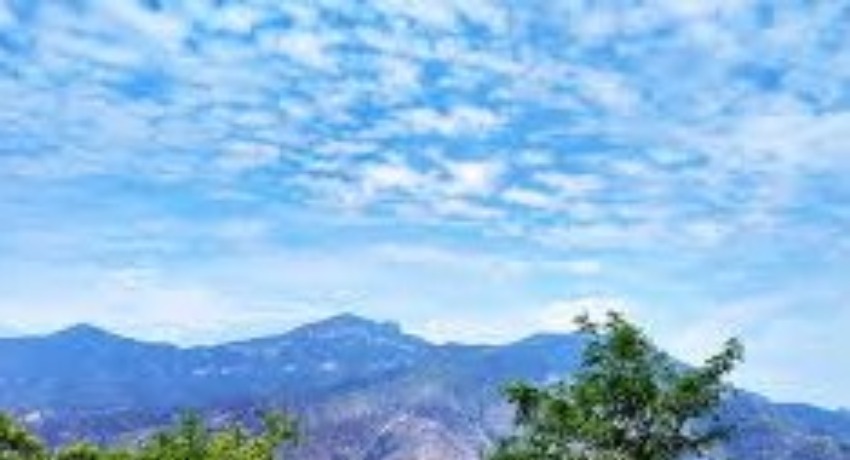 灵感实验室 - 蘑菇视频官网入口 - 大胆尝试先锋创意的探索空间